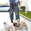 Dual Dog Leash Auto Retractable LED Light Traction Ropes for Dogs Cats Walking Running Training Travel Pet Supplies
