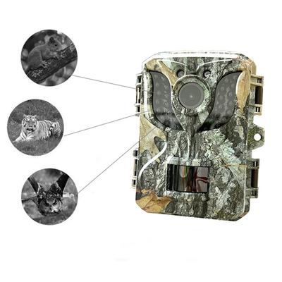 Açık Takip Kamerası IP66 Su Geçirmez Yaban Hayatı Avcılık Kamera Kızılötesi Gece Görüş Avcılık Kamera