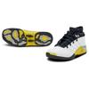 Air Jordan 17 Low "Lightning" Jordan FJ0395-100