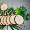 DIY Pine Wood Tree Ring Slices: Ideal for Decorative Backgrounds and Handmade Projects