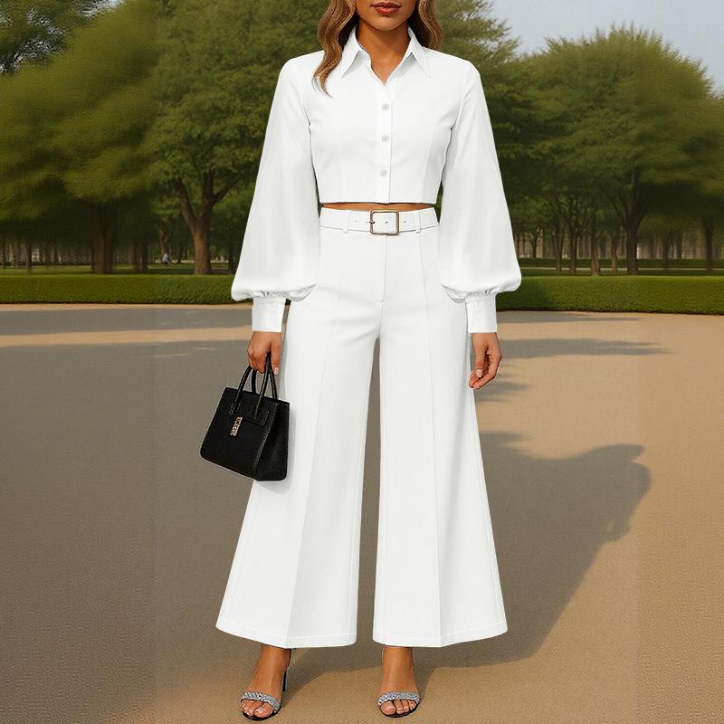 

ZANZEA Женская блузка с длинным рукавом и брюки повседневный комплект из двух частей 5XL белый