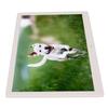 Digital Photo Frame 15.4 Inch 1080P HD Video Stereo Music Calendar Alarm Clock Electronic Picture