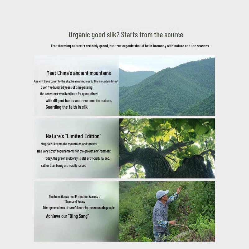 Mercury Home Textiles Four Seasons Tussah Silk Lyocell Quilt