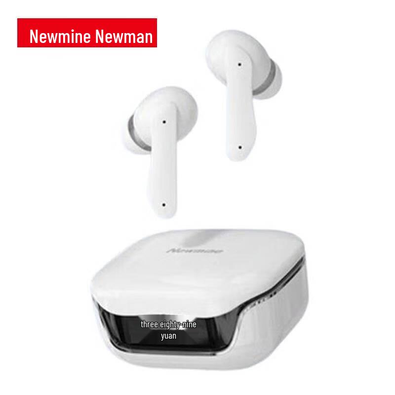 Newman LY10 In-Ear ENC Noise Cancelling Bluetooth Earbuds