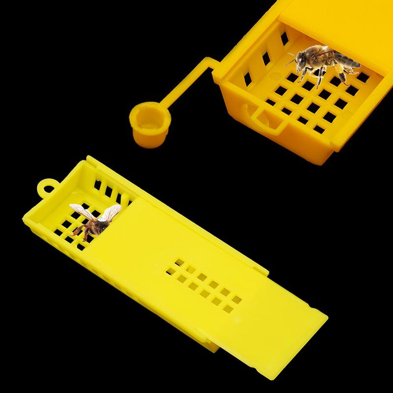 4/8/12Pcs Beekeeping Transport Cages Yellow White Bees Queen Post Room Cage Plastic Queen Prisoner Bee Cage Apiculture Tools