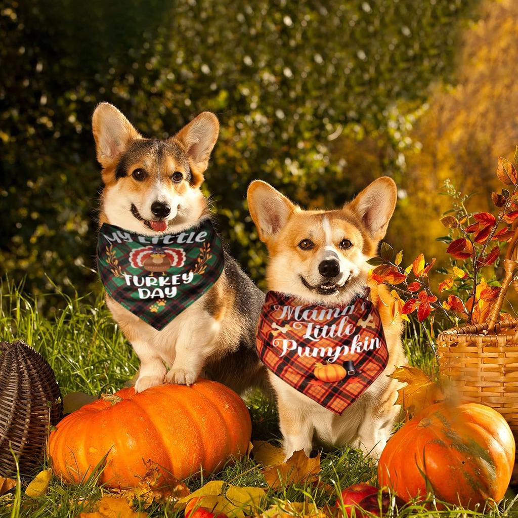 Xuniea 12 Pieces Fall Dog Bandanas Thanksgiving Day Bandanas for Dogs Maple Leaf Pumpkin Patterned Autumn Pet Triangle Kerchief Scarf Bibs for Small