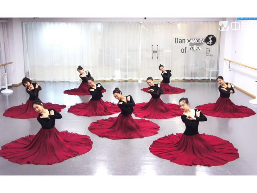 Modern Ballet & Dance Chiffon Tulle Skirt for Women