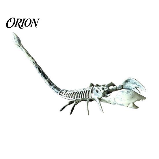 Halloween Tabletop Ornaments Animal Skeleton Figurine, Realistic Crow Rat Scorpion Bone Props for Haunted House Decorations House, Plastic Skull Decor