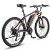 Electric Bicycle Fafrees Hailong 26" 250W Motor City Adult Electric Bike 48V 13AH LCD Display Top Speed 25Km/h Shimano 21 Speed