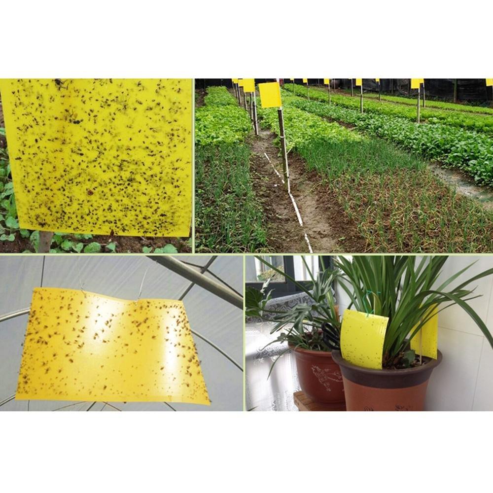 Outdoor Yellow Sticky Glue Flying Pest Insect Papers Traps Catchers Bugs 1//5PCS