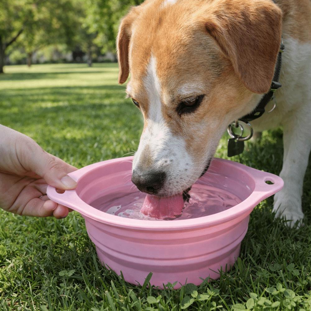 Large Capacity Foldable Silicone Bowl Double Ear Buckle Anti-slip Collapsible Dog Bowl Leak Proof Macaron Color