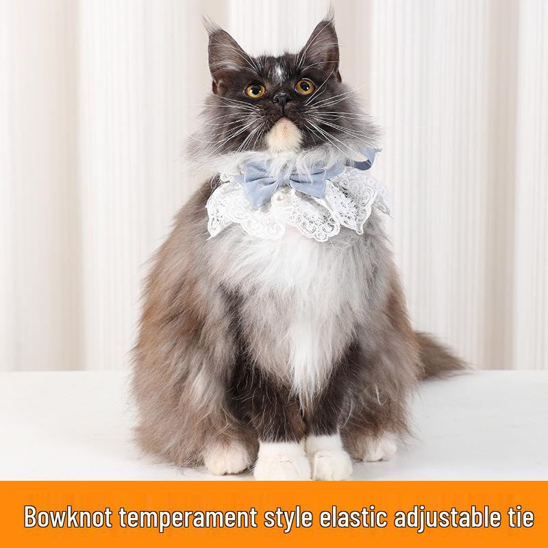 Pet Princess Lace Ruff Collar: Cute Four-Season Cat Bib Necklace