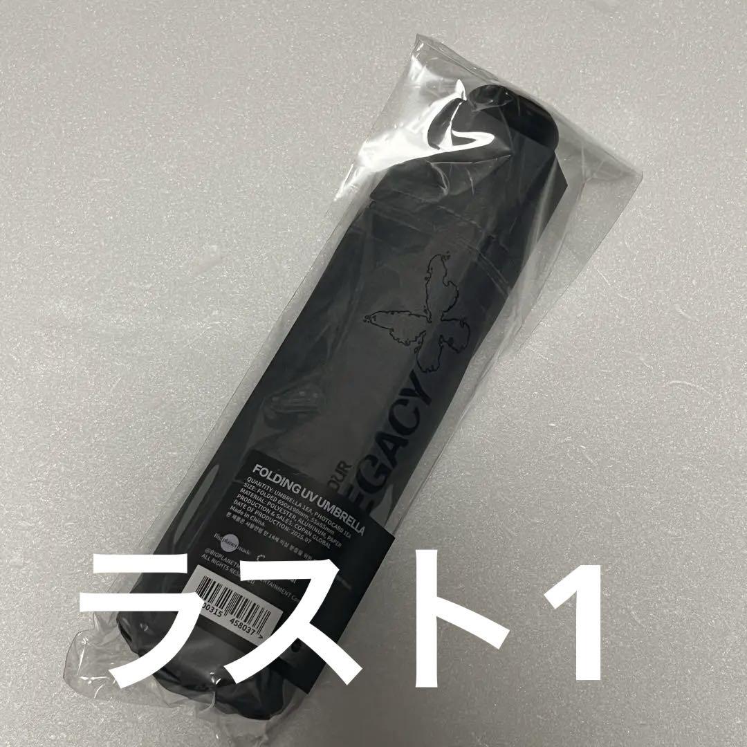 

[USED] VIVIZ 2025 Seoul Concert Waltz Umbrella