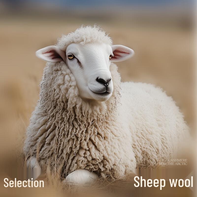 Sancai Damen Winter Kurzmantel aus Wollmischung Übergröße