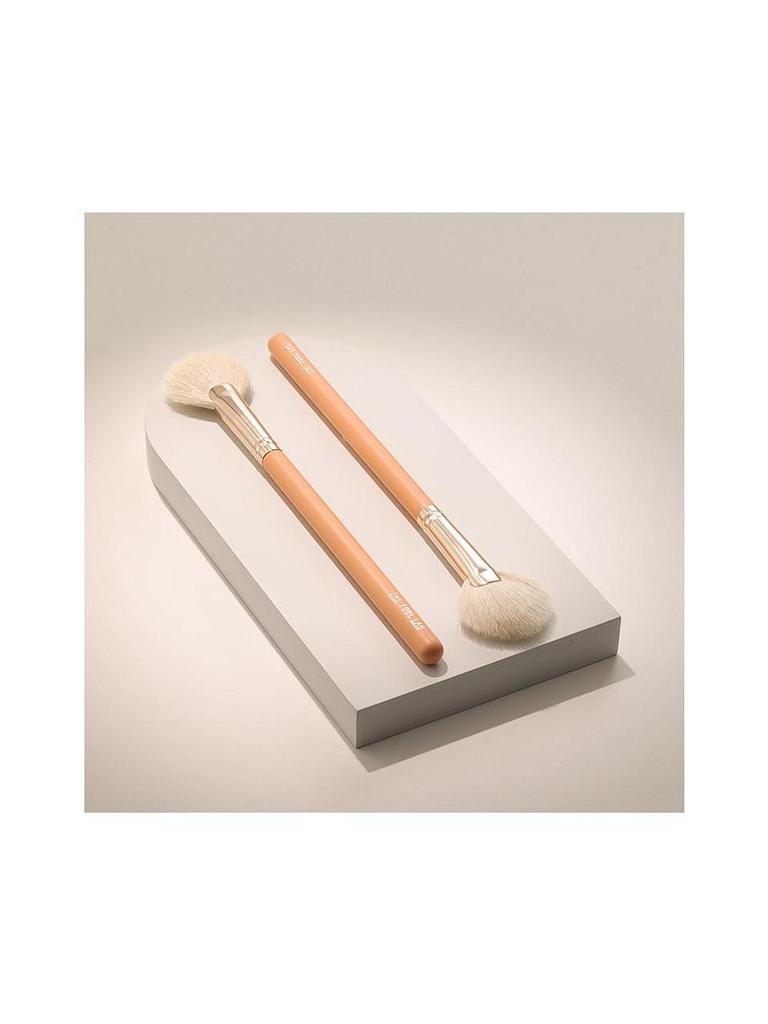 THE TOOL LAB [Best Highlighter] 160 Blusher Fan Brush