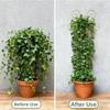 Butterfly Shaped Plant Climbing Trellis Strong Load Bearing Vine Climbing Rack  Potted Plants