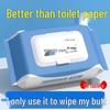 Biodegradable Flushable Wet Wipes, 80 Sheets - Family Value Pack