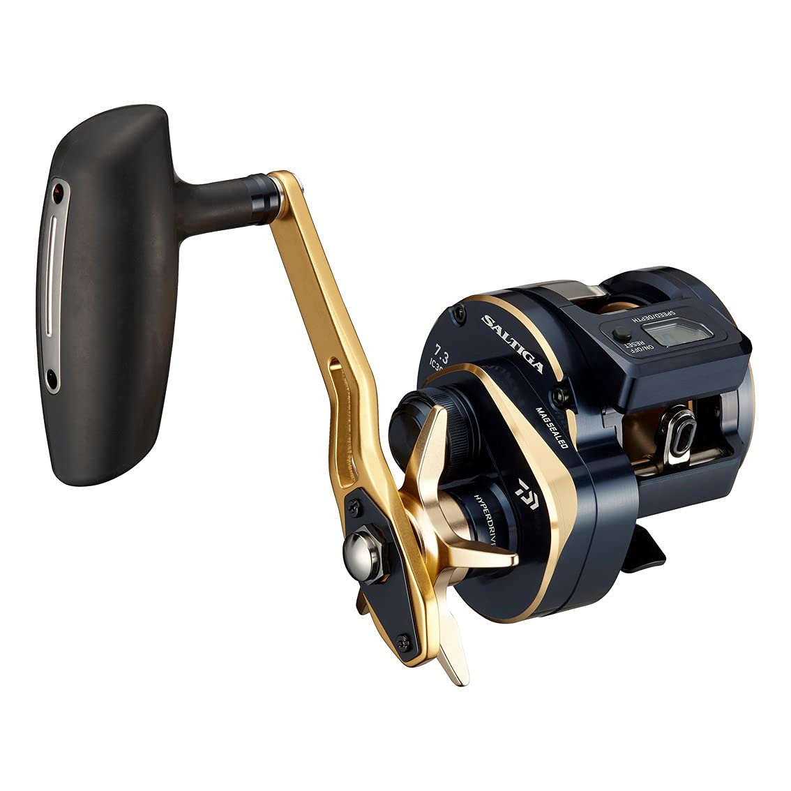 

DAIWA 21 Saltiga IC 300H-SJ