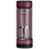Xino Portable Glass Tea Infuser Water Bottle