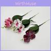 Artificial Phalaenopsis Realistic Flower Plant For Photography And Decor Home