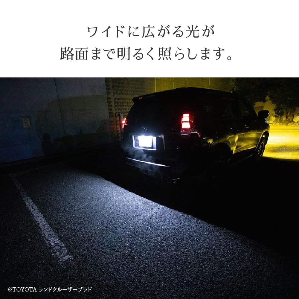 HID Shop LED T10 Number Light Room Lamp/Back Lamp etc.