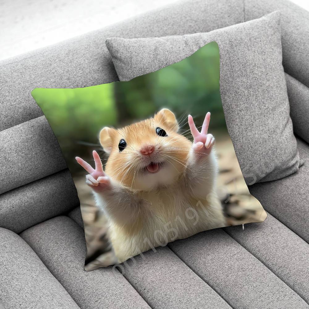 Funny Sad Hamster Meme Throw Pillow Case For Square Bedroom Pillowcase Cover