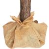 Artificial Christmas Tree - VIKING CHOICE - 220 Cm - Green - Indoor - 11 Kg
