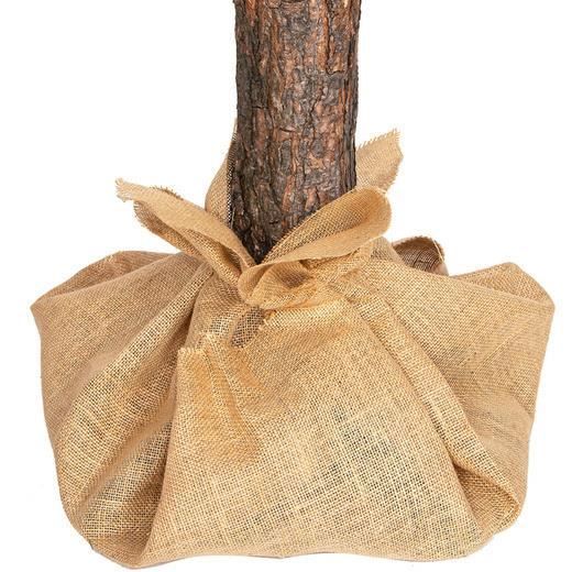 Artificial Christmas Tree - VIKING CHOICE - 220 Cm - Green - Indoor - 11 Kg
