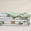 Belle Anna Soybean Cloud-Feel Soft All-Season Quilt