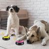 CANPLUS Set of 6 Dog Pet Recording Conversational Recording Educational Training Communication Audio Training for and Large Home Gift Buttons,
