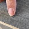 Edge Banding Punching Pliers Masking Pliers High Quality Metal 8mm Woodworking Tools Leather Hole Punch Plier Punching Tools
