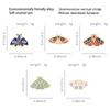Color Enamel Pins Butterfly Brooches Cartoon Animal Badges Denim Lapel Pin Jewelry Gifts for Kids Women Bags Backpack DIY Sewing