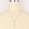 Stylish And Minimalist Lock Clavicle Chain Necklace Wholesale Fashion Accessories