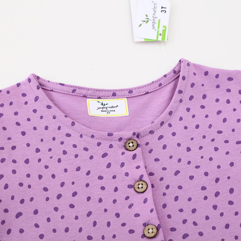 Girls' Long-Sleeve Autumn Princess Dress with Embroidery - European & American Style Children's Clothing.