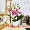 Artificial Phalaenopsis Flowers Decorative Plant For Home And Decoration Event