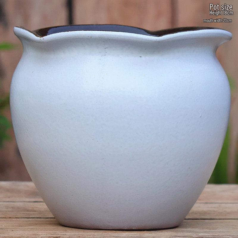 Stor Keramikkruka för Heminredning: Grov keramik för spindelväxt, gullranka, suckulenter och paradisfågelblomma. Perfekt för gröna växter och blommor.