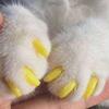 200pcs Soft PVC Cats Nail Caps All Size Dog Cats Claw Covers for Indoor Furniture Protecting Nail Covers for Cats Dogs