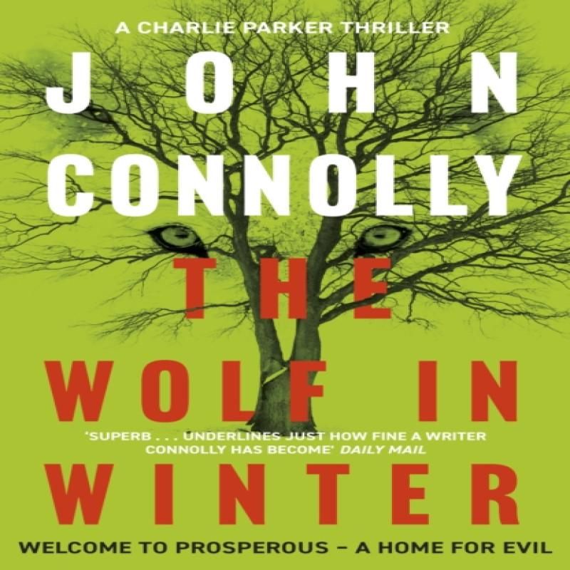 The Wolf In Winter by John Connolly Paperback Book 9781444755367
