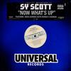 12inch Record SY SCOTT ERICK SERMON  KEITH MURR  Now Whats Up UNIR208051PROMO Universal Recor 2002 US Rap  HipHopRB Used