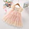 Girls Spring Autumn Princess Dress With Ruffles And Tulle Elegant Birthday Party Gown For Kids Children Clothing