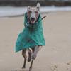 Spring and Autumn Outing Breathable and Comfortable Dobbin Dog Clothes Casual Warm Pet Raincoat Leisure Dog Cloak Raincoat