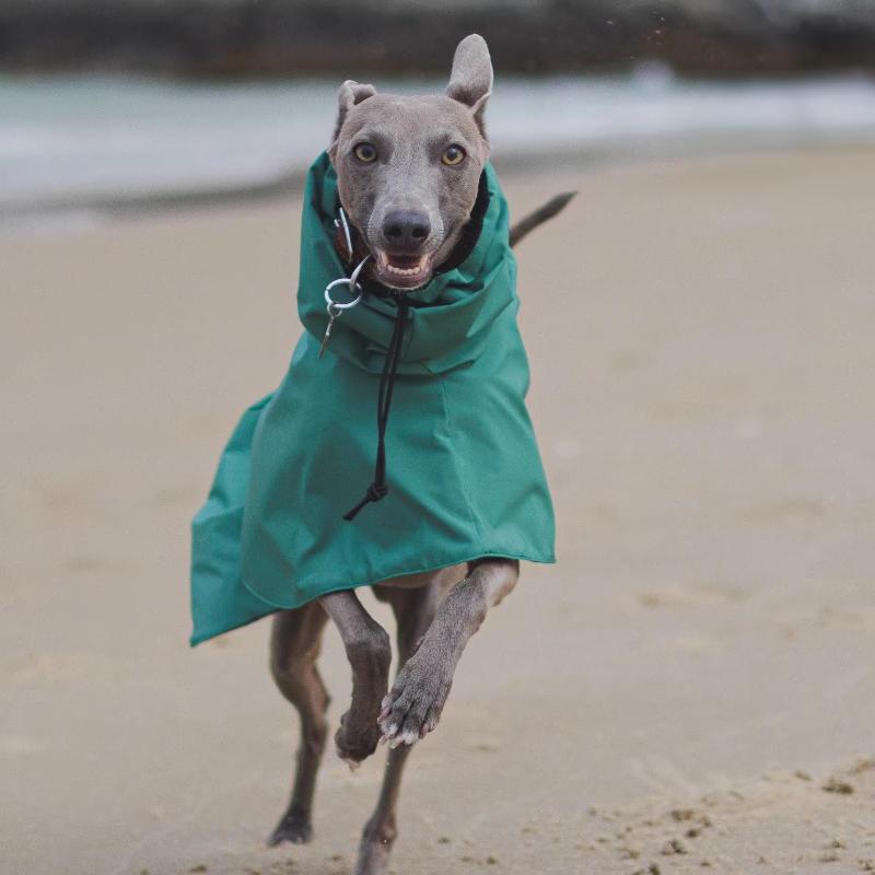 

Spring and Autumn Outing Breathable and Comfortable Dobbin Dog Clothes Casual Warm Pet Raincoat Leisure Dog Cloak Raincoat XS（old） зелёный