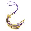 2025 Graduation Tassel for College Students and Graduates Academic Achievement Symbol Graduation Cap Decorations