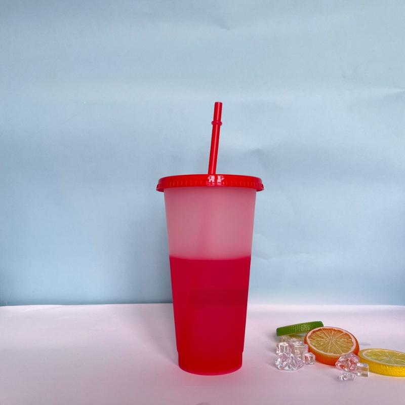 10PCS 710ml Plastic Straw Cup Cold-Sensitive Single Layer Mug Reble Tumbler with Straw Changes Color When Cooled