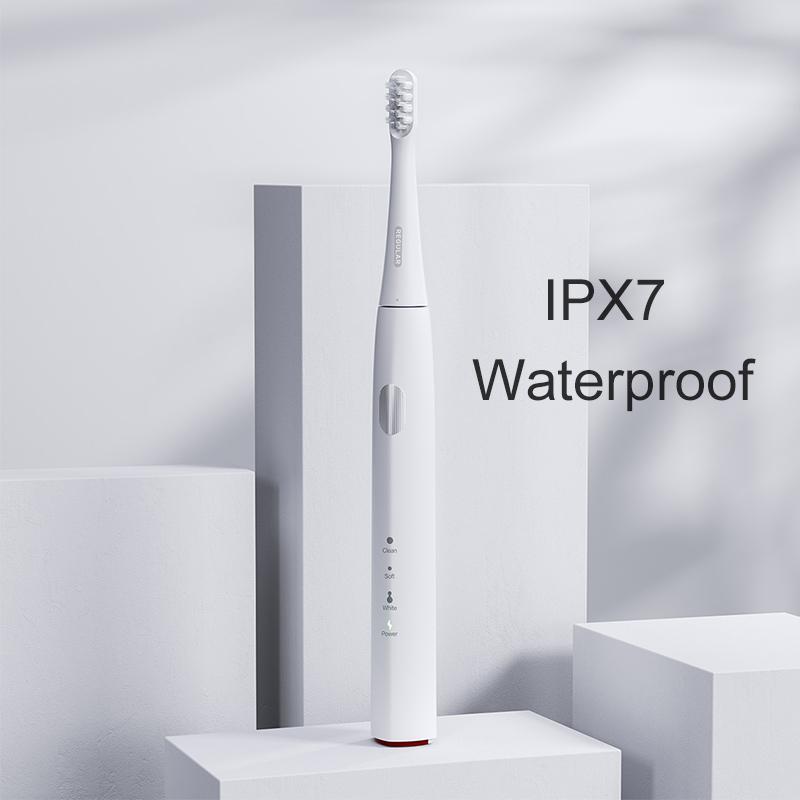 Sonic Electric ToothBrush Original DR.Bei Y1 Rechargeable 3 Models Waterproof Automatic Oral Cleaning Teeth with Brush Heads