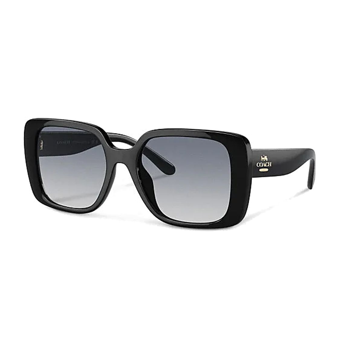 Coach Side Logo Letter Frame Irregular Sunglasses Women sunglasses Black CL907BLK Eyeglass Case+Eyeglass Cloth,F,Black