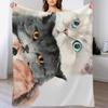 Three Cute Cats Throw Blanket Modern Design Soft Blanket for Home Decor