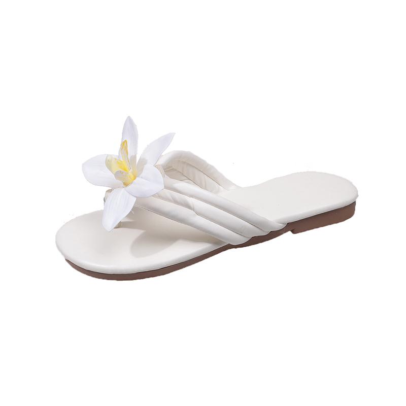 Flat Bottom Phalaenopsis Flip Flops Summer New Round Head Clip Toes Soft Bottom Non-Slip Low Heel Beach Cool Mopping