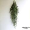 Artificial Spider Plant & Fern Hanging Decor - Trailing Green Vines for Wall & Ceiling