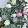 Simulation Of Fake Peony Vines, Living Room Ceiling Winding Blocking Decorative Plastic Vines Artificial Green Plants